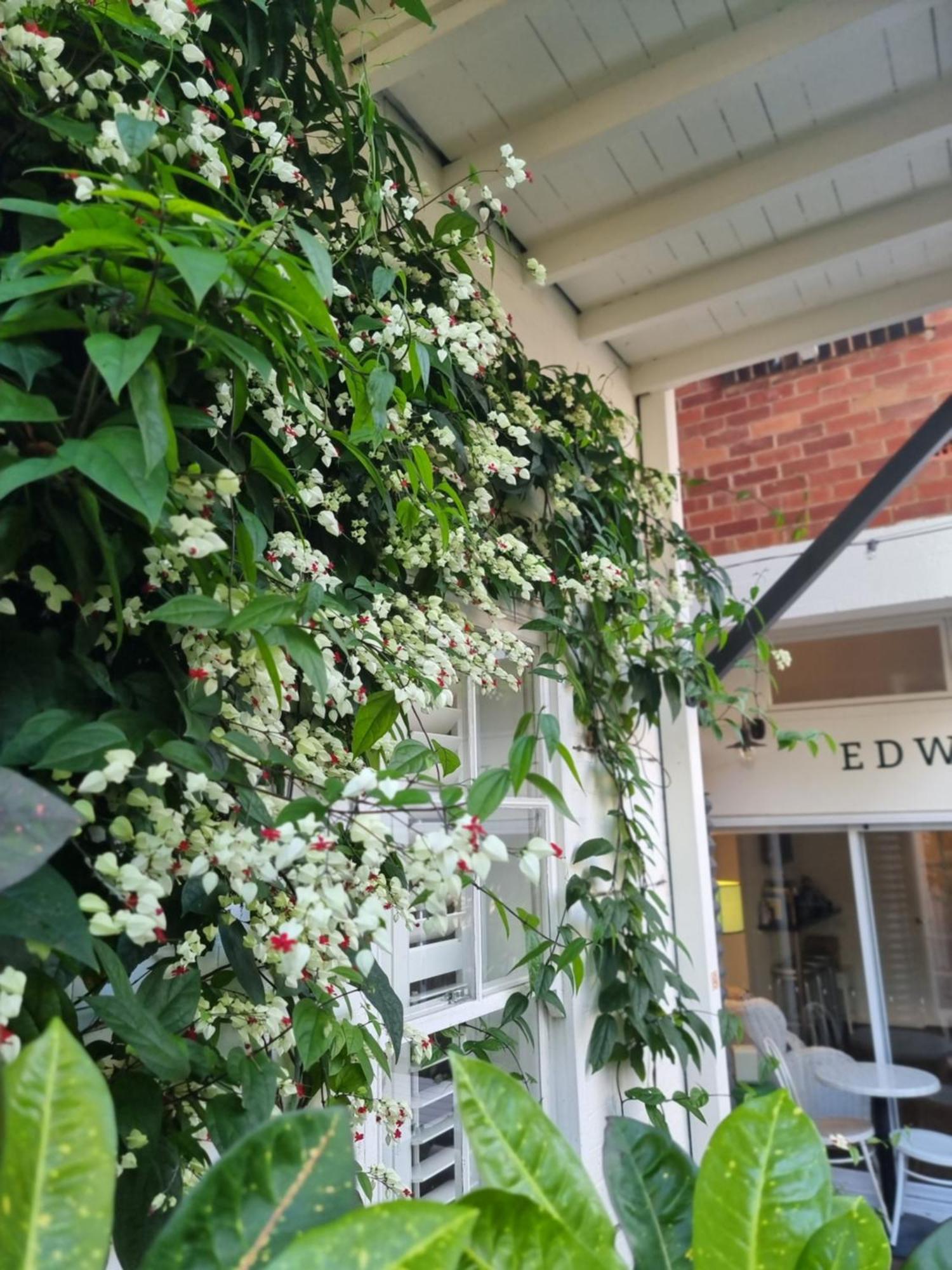 Edward Lodge New Fam Brisbane Esterno foto